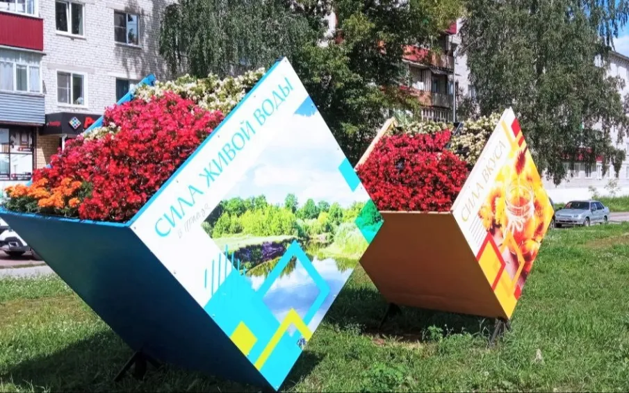 О городских цветах и людях